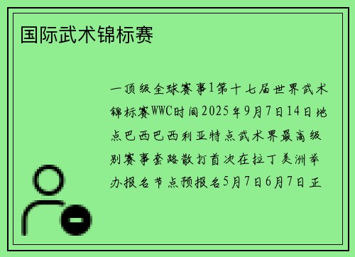 国际武术锦标赛